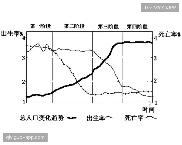 效率波动之谜：弗拉霍维奇的问题到底出在哪