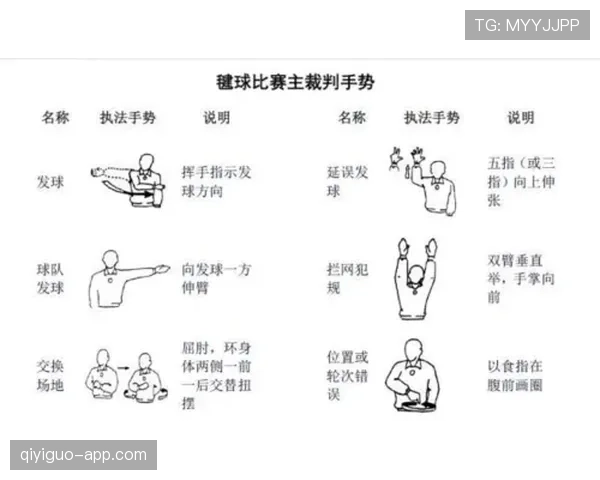 裁判手势规则全解析，看懂判罚不再迷茫