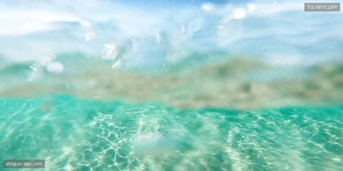 🎮 虚拟看台，弹幕狂欢，